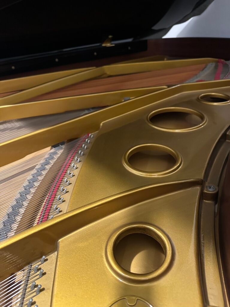 client-1-free-img Pianoforte accordato e regolato professionalmente