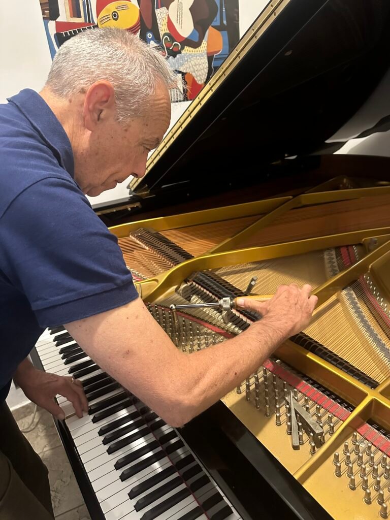 entrepreneur Accordatura pianoforte